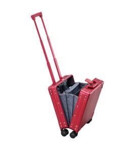 16" Vertical Underseat Businesstrolley Carry-On in Rubin