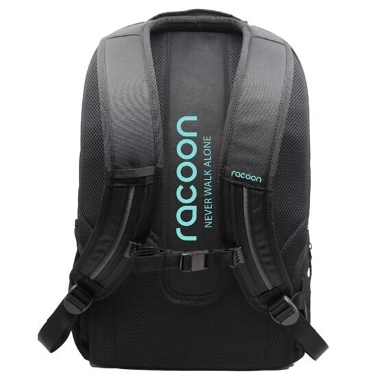 Everyday Backpack, Mint