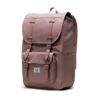 Little America -  Mid Backpack in Ash Rose 3