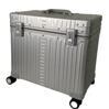 17&quot; 4-Wheel Pilot Case XL in Platin 1