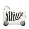 Dream Rider Zebra 5