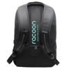 Everyday Backpack, Mint 4