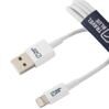 Lightning Data Sync &amp; Charge Cable 2